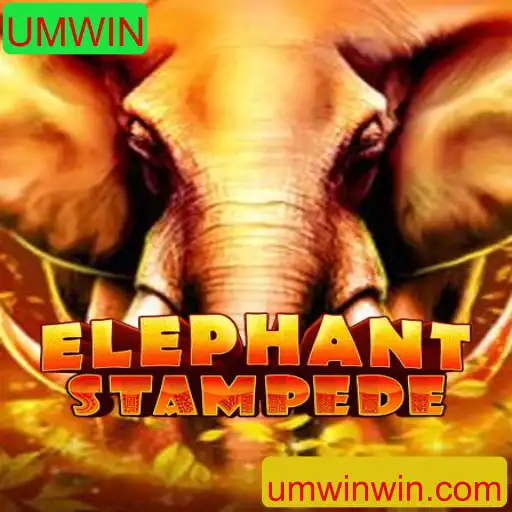 ElephantStampede: Uma Nova Aventura em Jogo de Mesa